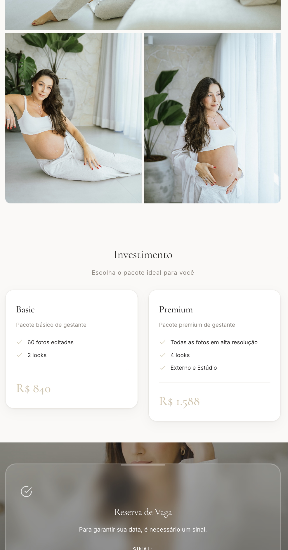 Proposta do Leint vista pelo cliente, com pacotes e itens selecionáveis